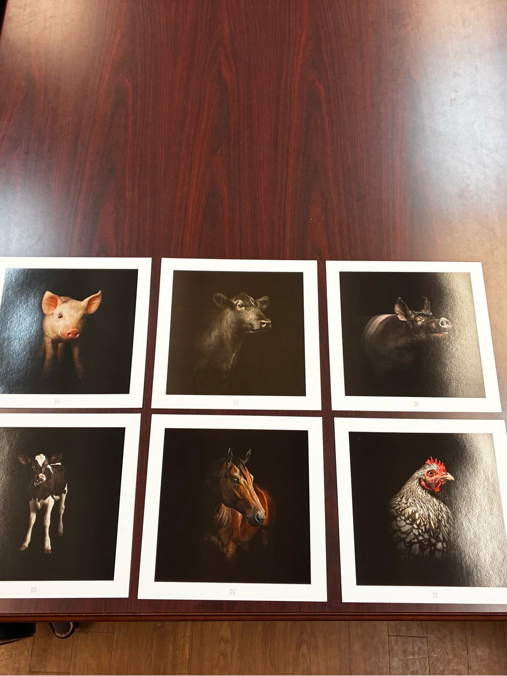 Farm Animal Art Prints Set